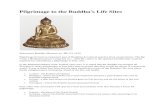 Pilgrimage to the Buddha's Life Sites - Saylor Academy · 2018. 11. 28. · Pilgrimage to the Buddha's Life Sites Sakyamuni Buddha, Museum no. IM.121-1910 Pilgrimage formed an important