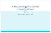 GBS, pathogenesis and complications · 2020. 7. 25. · DR. FIRAS OBEIDAT, MD GBS, pathogenesis and complications. Types of gallstones