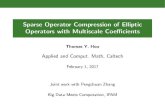 Sparse Operator Compression of Elliptic Operators with ...helper.ipam.ucla.edu/publications/dmc2017/dmc2017_14057.pdf · One of the motiva-tions for such approaches is the notion