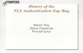 History of the TLS Authentication Gap Bug · 2019. 9. 3. · HTTPS Login Form Password-based credentials are passed over https to the server to authenticate the client. The session