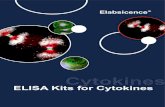 ELISA Kits for Cytokines · E-EL-M0763 Mouse Lptn/XCL1 (Lymphotactin) ELISA Kit 62.5--4000pg/mL 37.5pg/mL Sandwich E-EL-M0267 Mouse CX3CL1 (Chemokine C-X3-C-Motif Ligand 1) ELISA