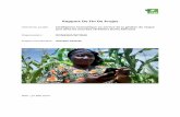 Rapport De Fin De Projet - CGSpace...une augmentation de leur chiffre daffaires Région(s) ciblée(s) : Afrique de lOuest Pays dans lesquels le projet a lieu : Togo, Bénin, Burkina
