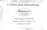 Y-DNA and Genealogymgsdarienct.org/YDNAandGenealogy.pdf · 2020. 5. 19. · Y-DNA and Genealogy Peter Biggins, BY3164 Darien Library, Darien, CT October 6, 2018