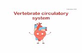 Subhadipa2020 Vertebrate circulatory system...2020/05/03  · Circulatory system. •Thecirculatorysystemofvertebratesis basicallyaset of connecting tubes and pumpsthatmovefluid. •Theabilityoftheorganismtoadjustto