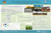Supporting Decision-Making in the Sugar Industry with Integrated … · 2013. 7. 3. · management along the supply chain. Sugar production in Australia mainly occurs in discontinuous