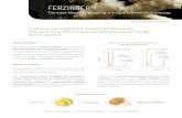 FERZINGER™ · 2020. 5. 13. · FERZINGER™ The most bioactive ginger by a unique fermentation process Info and scientific background What is Ferzinger™? Ferzinger™ contains