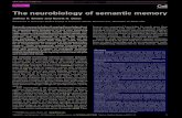 The neurobiology of semantic memory · Semantic memory: an individual’s store of knowledge about the world. The content of semantic memory is abstracted from actual experience and