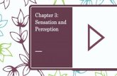 Chapter 3: Sensation and Perception - Lora ConnorSensation and Perception (3 of 5) – Module 3.1 Sensing Our World: Basic Concepts of Sensation – Module 3.2 Vision: Seeing the Light