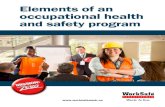 Elements of an occupational health and safety program€¦ · To effectively prevent incidents, a workplace’s occupational health and safety program may need to exceed the legislated