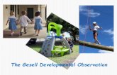 The Gesell Developmental Observation · 2020. 7. 23. · Let’s talk about developmental age. What did Dr. Arnold Gesell say about development? “Humans develop in a patterned,