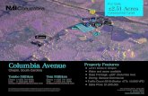 Site · 2019. 12. 5. · Site Map Columbia Avenue, Chapin, South Carolina For Sale ±2.51 Acres Commercial Land 807 Gervais Street, Suite 200 Columbia, South Carolina 29201 +1 803.254.0100