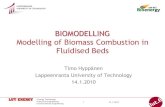 Modelling of Biomass Combustion in Fluidised Beds tai ...ffrc.fi/Liekkipaiva_2010/Sessio1B/HyppanenLTY.pdfBIOMODELLING Modelling of Biomass Combustion in Fluidised Beds Timo Hyppänen