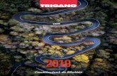 Trigano - 2019 · 2020. 3. 30. · Creation of Euro-Accessoires 1987 Privatisation of Trigano 1992 Integration of the trailer activities and garden equipment 1. Presentation of the