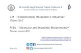 LM - “Biotecnologie Molecolari e Industriali” · 2020. 9. 11. · LM - “Biotecnologie Molecolari e Industriali ... le iscrizioni ai corsi di laurea magistrale di cui sopra dovranno