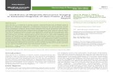 Gynecology & Obstetrics Case report - Usefulness of Magnetic … · 2021. 3. 31. · Gynaecology & Obstetrics Case report ISSN 2471-8165 Yara N, Kinjo T, Ohki Y, Kinjyo Y, Chinen