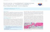 Immune-mediated response of bone in osteomyelitis ...mice. Proc Natl Acad Sci USA. 1998; 95 (23):12835-13840. 3. Lorenzo J, horowitz M, choi Y. Osteoimmunology: interac-tions of the