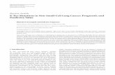 K-RasMutationsinNon-Small-CellLungCancer:Prognosticand ...NSCLC for mutation at codon 12 of K-RAS gene and found 6.9%ofmutatedpatients[31].TheK-RASmutationpositive group had a worse