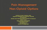 Pain Management Non-Opioid Options...•Stomachache, headache •Described as gnawing, cramping, aching, sharp Nociceptive (perception) •Caused by nerve damage or hyper-excitability