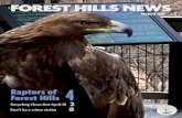 FOREST HILLS NEWS...posing bird. As she sat on his gloved wrist, Ranger Ward noncha-lantly told me her massive talons, her weapons of choice, could ex-ert 1,300 pounds per square inch