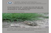SZEKELY JOZSEF PAUL ENVI. Aspects of Breeding Activity in a Population of Pelobates syriacus 145VI. 1. Introduction 145VI. 2. Materials and methods 147VI. 3. Results 148VI. 4. Discussion