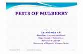 1.pests of mulberry - DR. H.B. MAHESHA - Homehbmahesh.weebly.com/.../2/2/3422804/1.pests_of_mulberry.pdf · 2018. 12. 30. · (ii) Spraying of mulberry with 0.76 % per cent Management