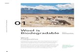 Wool is Biodegradable - DNFI.org€¦ · About IWTO With a world-wide membership encompassing the wool pipeline from sheep to shop, the International Wool Textile Organisation (IWTO)