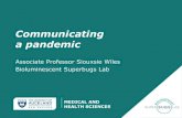 Associate Professor Siouxsie Wiles Bioluminescent ......Siouxsie Wiles Contributing writer Dr Siouxsie Wiles is an Associate Professor and head of the Bioluminescent Superbugs Lab