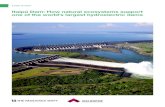 Itaipú Dam: How natural ecosystems support one of the world ......Itaipu Binacional 7 HOW NATURAL ECOSYSTEMS SUPPORT ONE OF THE WORLD’S LARGEST HYDROELECTRIC DAMS of CO2e.i Whilst