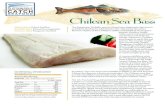 Chilean Sea Bass - Rastelli Foods Group...Chilean Sea Bass The Patagonian Toothfish, species Dissostichus eleginoides (also known as Chilean Sea Bass) is a fish found in the cold,