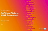 SAP Digital Exchange 2021 SAP Cloud Platform, ABAP Environment · 2021. 3. 29. · ABAP platform for SAP Cloud Platform, ABAP environment Product road map overview –Key innovations