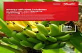 Banana Ripening Application Brochure · Optimum ambient conditions for banana ripening Temperature requirement: 13 °C to 14 °C – for storage and transport 15 °C to 20 °C –