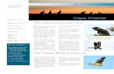 21st April 2021 Issue No. 41 - WordPress.com...This Issue, Number 41, is the first anniversary edition of the Cape Chatter’ blog. From the outset, the purpose of Cape Chatter was