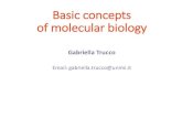 Basic concepts of molecular biology - unimi.it · 2017. 9. 25. · Basic concepts of molecular biology Gabriella Trucco Email: gabriella.trucco@unimi.it. What is life made of? 1665: