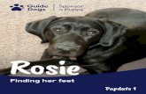 Rosie Pupdate 1Thank you for sponsoring Rosie Hello, I’m Edith, Rosie’s Puppy Walker. Welcome to her first Pupdate! I’ve had a long puppy walking experience with Guide Dogs since