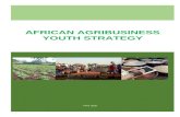 AFRICAN AGRIBUSINESS YOUTH STRATEGY · Web viewContinental level for the African vision, M&E frameworks, synergies, knowledge management, resource mobilization and building African