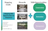 Mapping Hazards NBS Opportunities Goals Inland Flooding ......pluvial and riverine flood maps developed by Fathom, University of Bristol, and TNC) • Current Wetlands and Surface