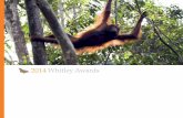 2014 Whitley Awards · 2018. 1. 26. · We are also delighted to welcome the 2014 winner of the Whitley Gold Award, Haitian conservationist Jean Wiener. Jean received a Whitley Award