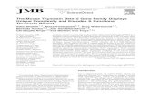 The Mouse Thymosin Beta15 Gene Family Displays Unique ...bioinformatics.psb.ugent.be/pdf/publications/19233202.pdfrepeat Tb15-likebeta-thymosin(Tb15r). Biochemical characterization