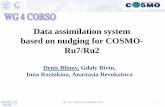 Data assimilation system based on nudging for COSMO- Ru7/Ru2 · 2016. 12. 20. · das7, das2 (forecast with IC from DAS) ref7, ref2 (forecast with IC from GME) Period testing: 1 February