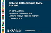 Zimbabwe DSD Performance Review, June 2019 · 2021. 7. 6. · Sanyati 172 (14%) Zvimba 185 (16%) Matabeleland North 76 Bubi 42 (55%) Umguza 34 (45%) Matabeleland South 1310 Beitbridge