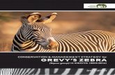 CONSERVATION & MANAGEMENT STRATEGY for GREVY ......Figure 1: Trend in Grevy’s Zebra Numbers from 1970s to 2011 9 Figure 2: Grevy’s Zebra Conservation Zones in Kenya 9 Figure 3: