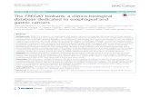 The FREGAT biobank: a clinico-biological database dedicated to … · 2018. 2. 6. · Methods: The prospective FREGAT database, established by the French National Cancer Institute,