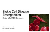 Sickle Cell Disease Emergencies - PEM Sourcepemsource.org/wp-content/uploads/2020/05/Sickle-Cell... · 2020. 6. 10. · Sickle Cell Anemias (SCA). Sickle Cell Disease (SCD) refers