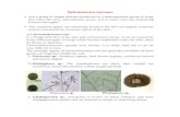 Lecture Notes - TIU - Lecture Notes · Web viewSubcutaneous mycoses Are a group of fungal diseases produced by a heterogeneous group of fungi that infect the skin, subcutaneous tissue,