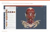 Teton Data · 2018. 7. 24. · Brain infratemporal fossa neck Oissection: neck and thyroid neck great vessels spinal region Dissection: brain stem and DissectiorE Dissection: external