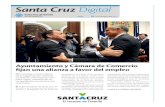 Santa Cruz Digital · 2018. 12. 11. · Santa Cruz Digital N309 13 DE ENERO DE 2017 El Ayuntamiento de Santa Cruz de Tenerife y la Cámara de Comercio, In-dustria y Navegación de