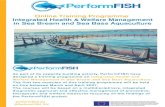 in Sea Bream and Sea Bass Aquaculture Integrated Health & Welfare Managementperformfish.eu/wp-content/uploads/2021/03/PerformFISH... · 2021. 3. 8. · in Sea Bream and Sea Bass Aquaculture;;