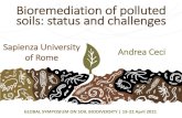 Sapienza University Andrea Ceci of Rome · 2021. 4. 23. · Sapienza University of Rome. Bioremediation of polluted soils: status and challenges • Introduction • Bioremediation