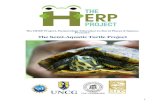 The Semi-Aquatic Turtle Project · 2015. 10. 13. · Aquatic turtles spend their entire lives in the water (sea turtles) – except for egg laying Semi-aquatic turtles live most of