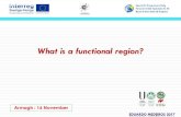 WHAT IS A FUNCTIONAL REGION? · 2017. 11. 22. · • A functional region is a territorial unit resulting from the organisation of social and economic relations in that its boundaries